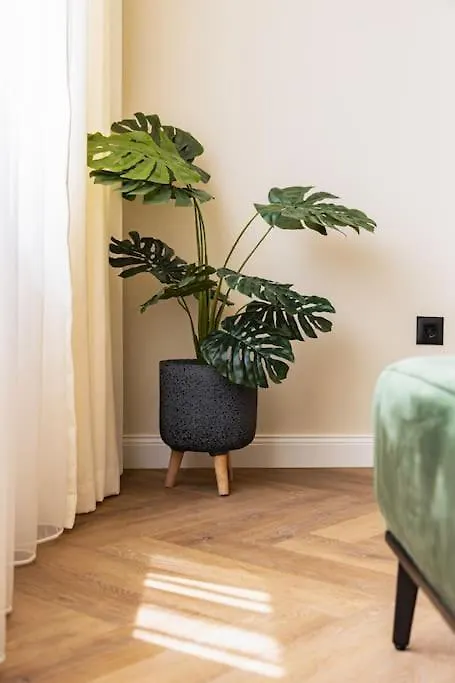 Olive Green Designer Apartment Plovdiv 0*,  Bulharsko